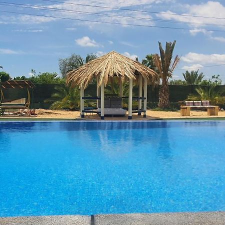 Casadelfenix Hotel Crevillent Kültér fotó