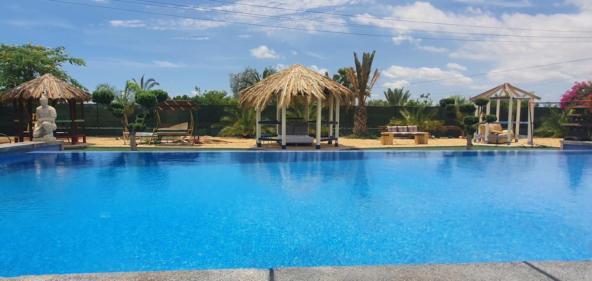 Casadelfenix Hotel Crevillent Kültér fotó